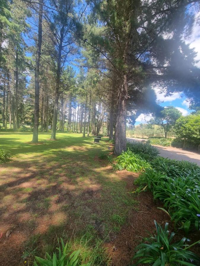Savana Estate Poukawa Exterior photo